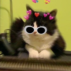 Meet your Posher, Michael